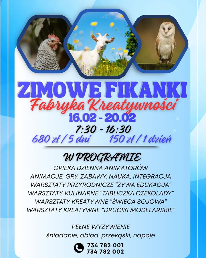 ❄️ Zimowe Fikanki - Fabryka Kreatywności w Sali Zabaw Patio Park ❄️