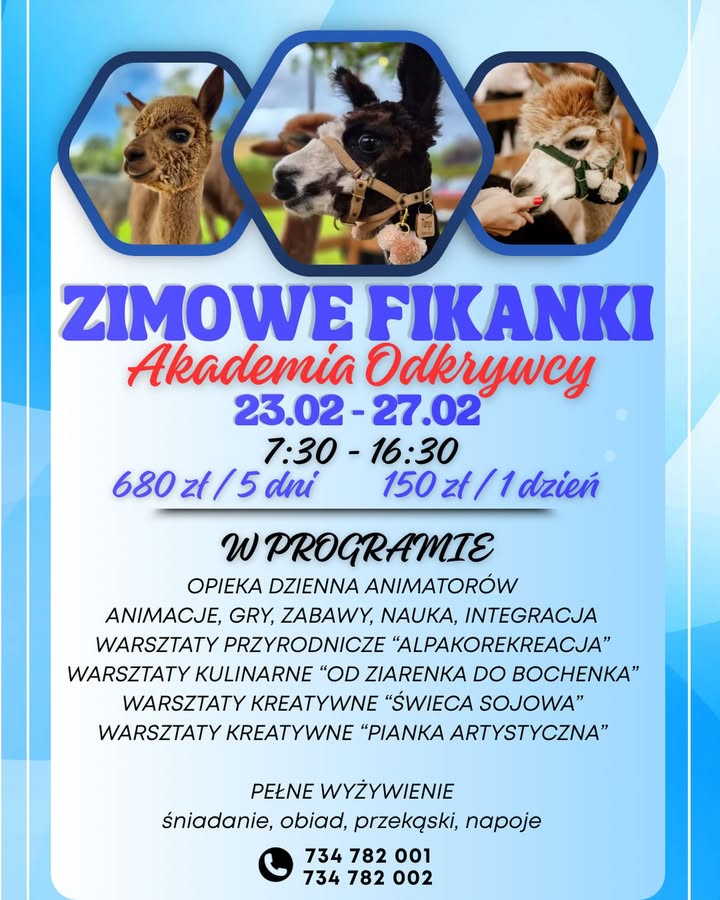 ❄️ Zimowe Fikanki - Akademia Odkrywcy w Sali Zabaw Patio Park ❄️